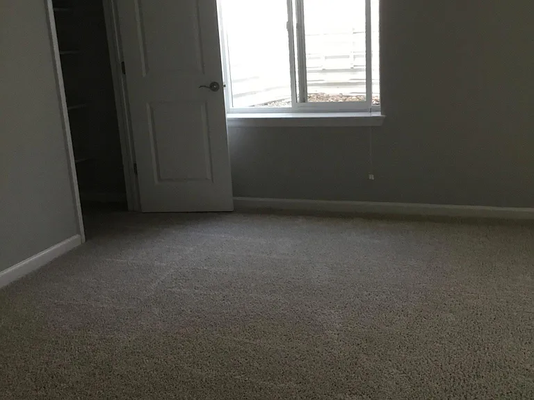 Basement family room with wide shelved closet and under stairs storage closet