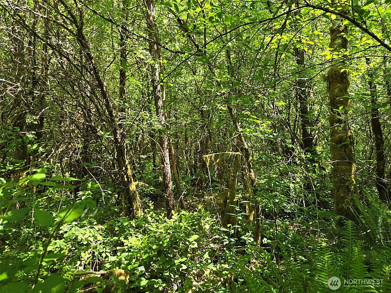 4th image of 256 Walker Road