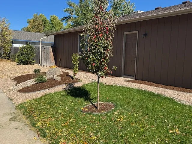 20 Newby Pl — Photo 5