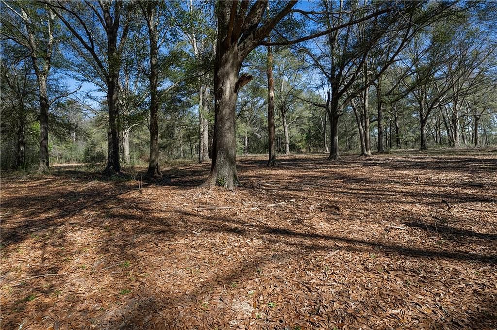 19055 Prine Rd, Citronelle, AL 36522 MLS 7129068 Zillow