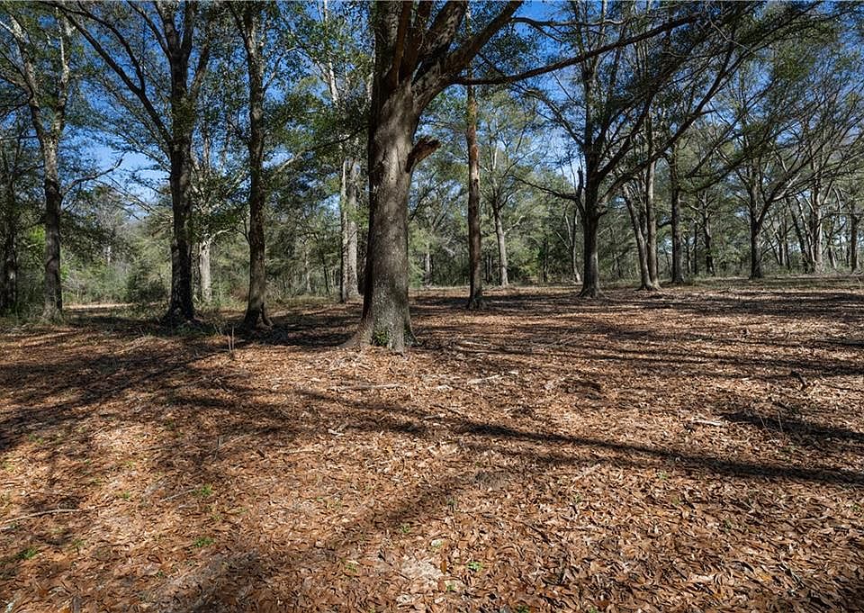 19055 Prine Rd, Citronelle, AL 36522 MLS 7129068 Zillow