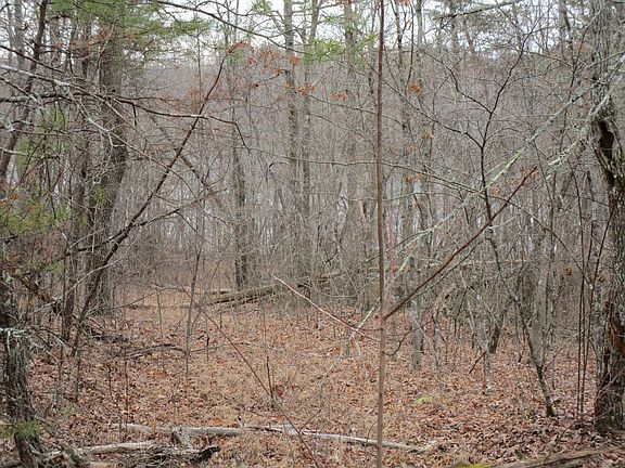 3rd image of 0 N Lake Trl Lot 13
