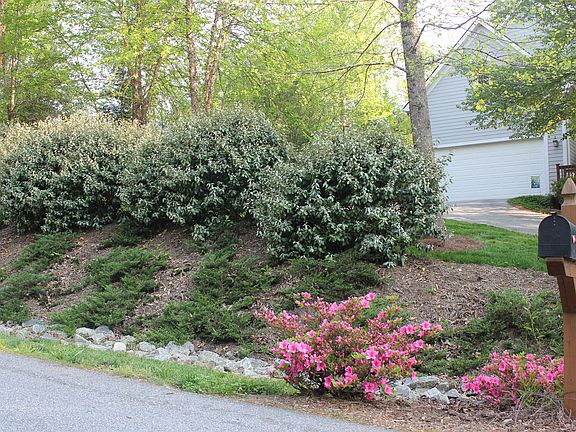 Lush landscaping