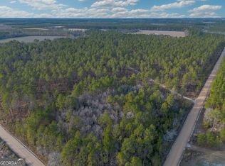 5 Reddish Rd, Odum, GA 31555