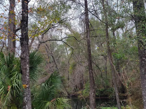 162 Natural Bridge Rd, Monticello, FL 32344