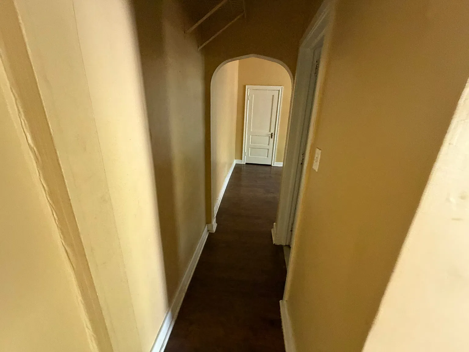 1 bed, $1,100 — Photo 4