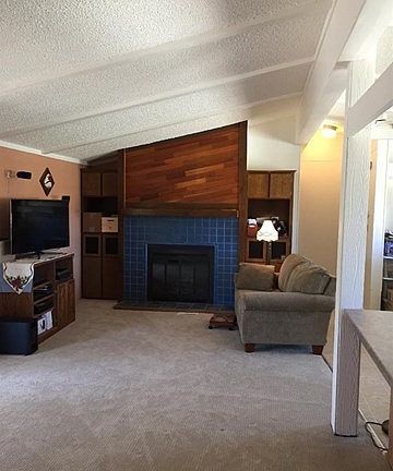 wood burning fireplace in the light filled living room
