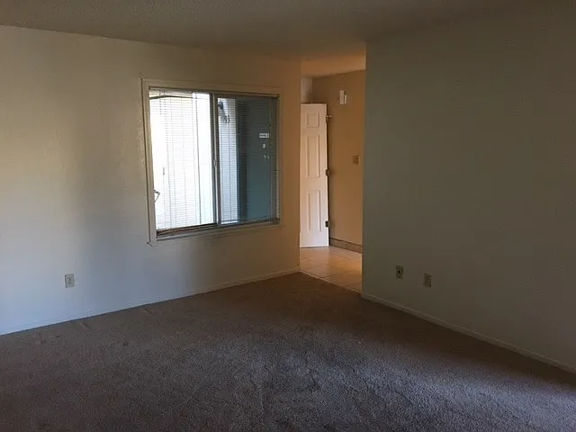 3920 Clear Acre Lane Unit 93 — Photo 3
