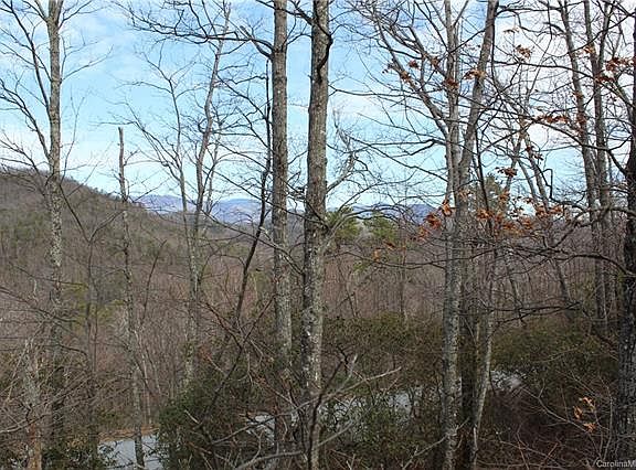 3rd image of 204 Catawba Falls Pkwy