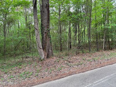 124 Shady Cir, Pearl, MS, 39208