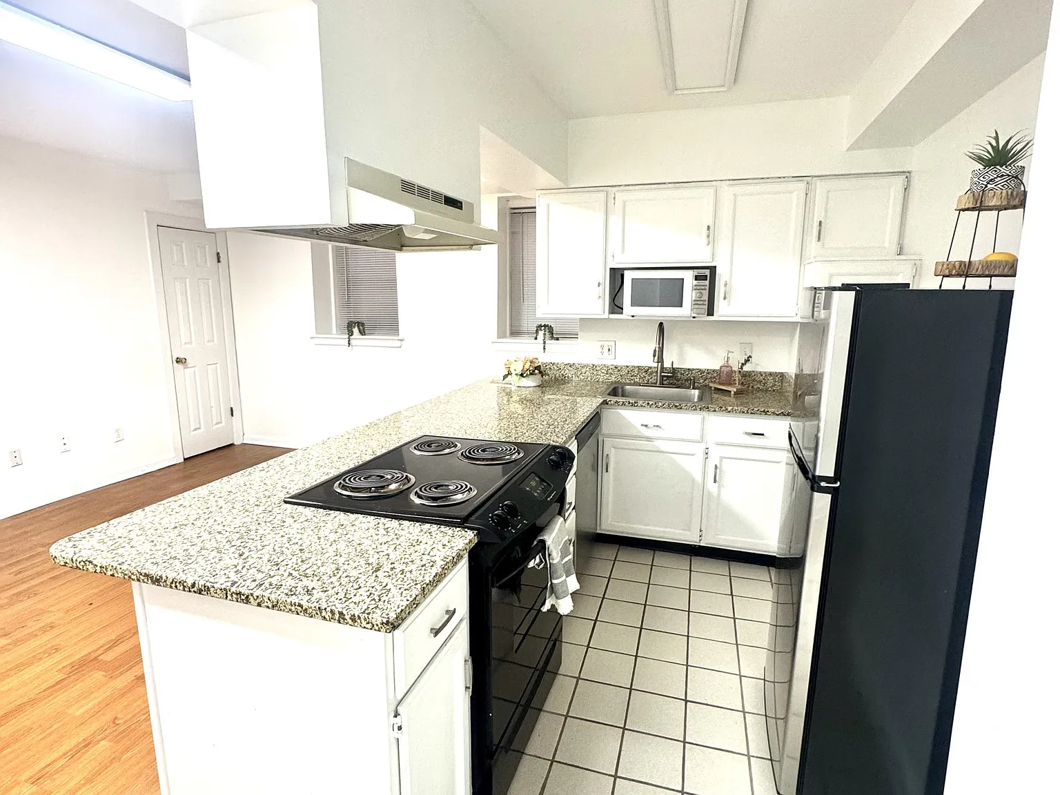 1 bed, 900 sqft, $1,150 — Photo 1