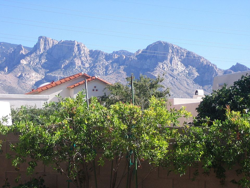 Pusch Ridge View