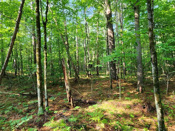 0 Tannenbaum Spruce Ln, Jay, NY 12941