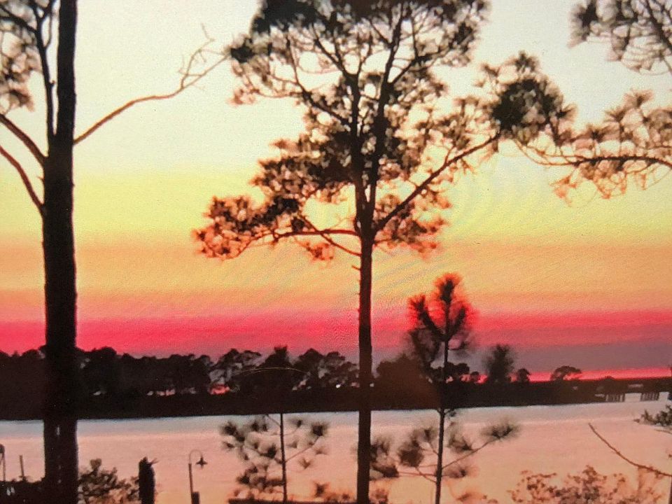View across the back looking toward the gulf