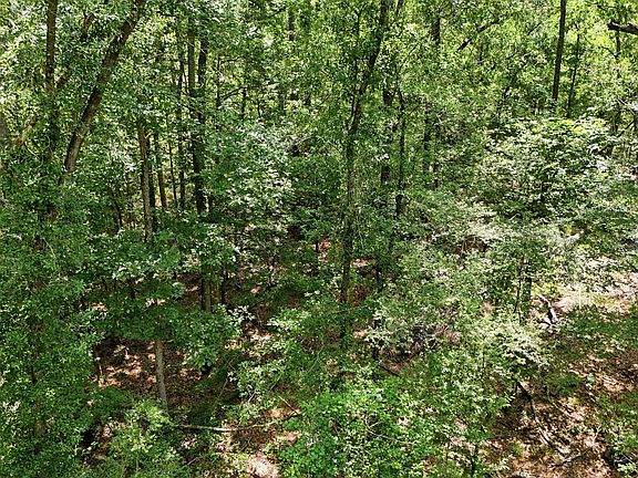 3rd image of Coleman Dr