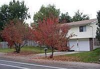 2nd image of 1719 28th Ave