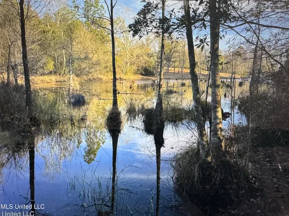 14 Hickory Lakes Ests, Lucedale, MS 39452