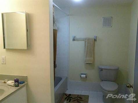 5th image of 18862 NW 86th Ct APT 4001