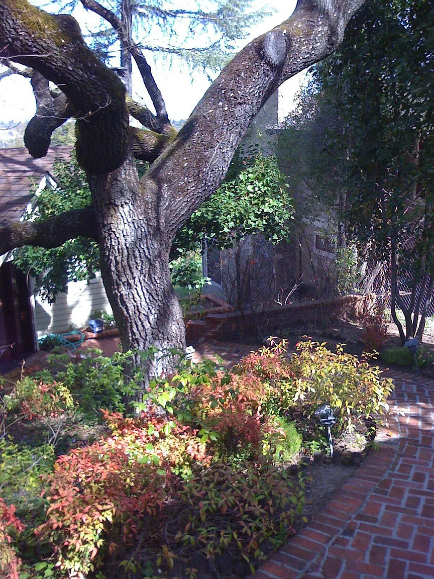 15 Grove St photo 1