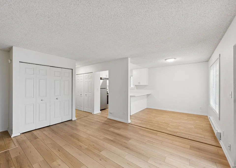 Living and Dining Room
