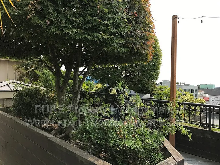 1125 E Olive St #312 — Photo 8