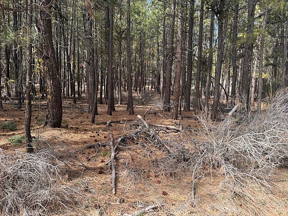 5th image of Bliss Rd