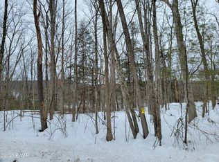 LOT 1.5 Skinners Falls Rd, Narrowsburg, NY 12764