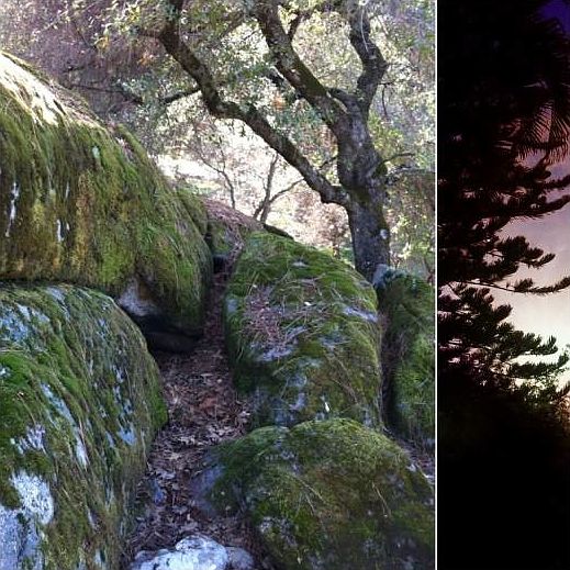 Decking built around beautiful holders