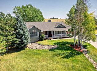 817 Meadow Station Cir, Parker, CO 80138