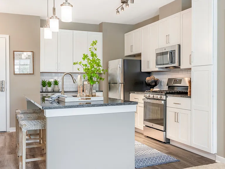 Designer Collection Kitchen