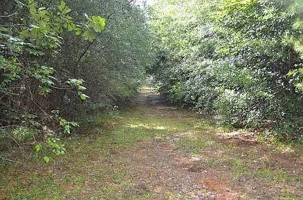 4th image of Jimi Brumfield Rd