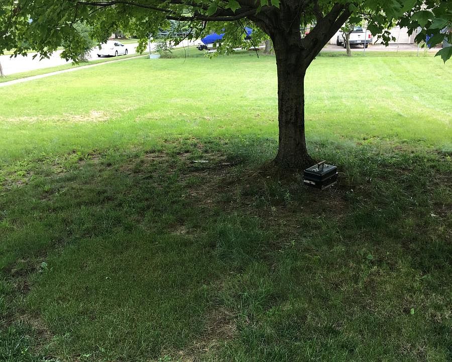 Large green back yard