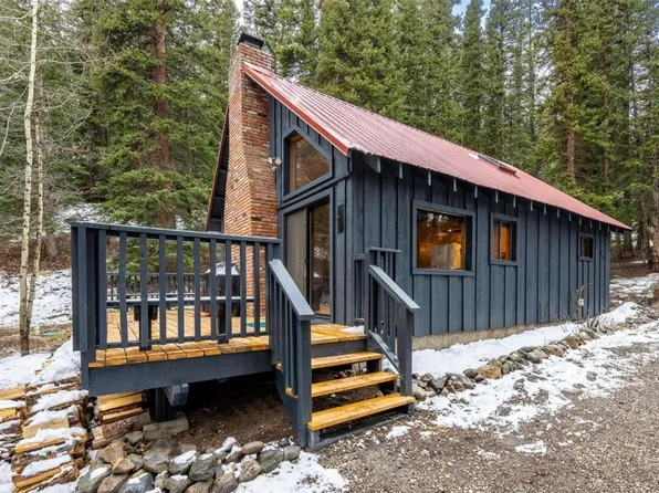 840 Peterson Dr, Alma, CO 80420