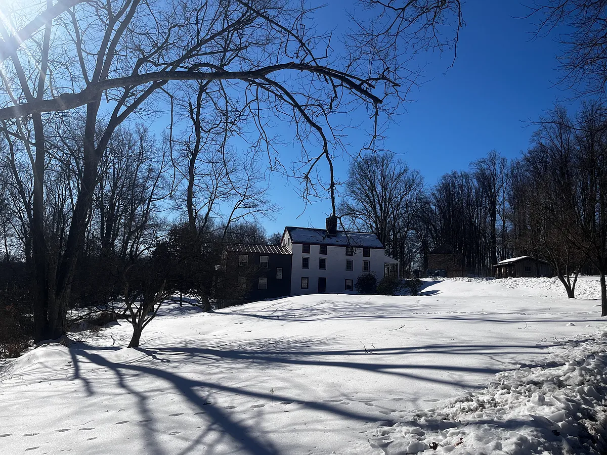 winter driveway view - 26 Grafton Rd