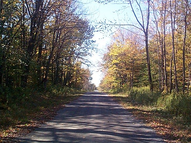 1st image of Denning Road