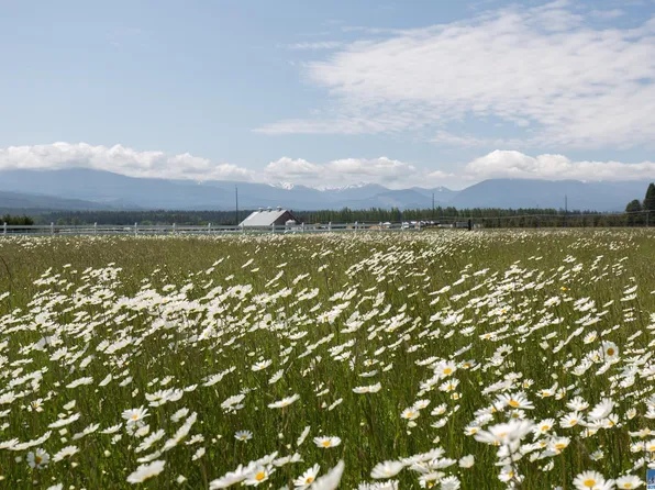 Nka Lavender Meadows Dr, Sequim, WA 98382