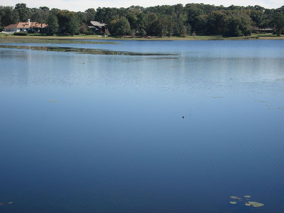 View from Dock