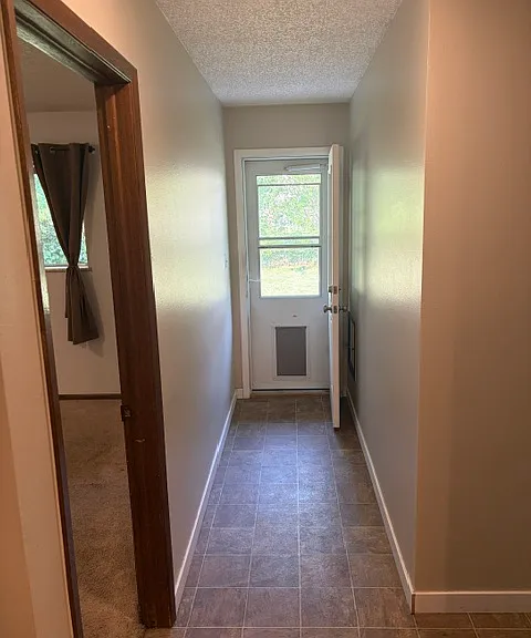 Hallway to back yard -- dog door