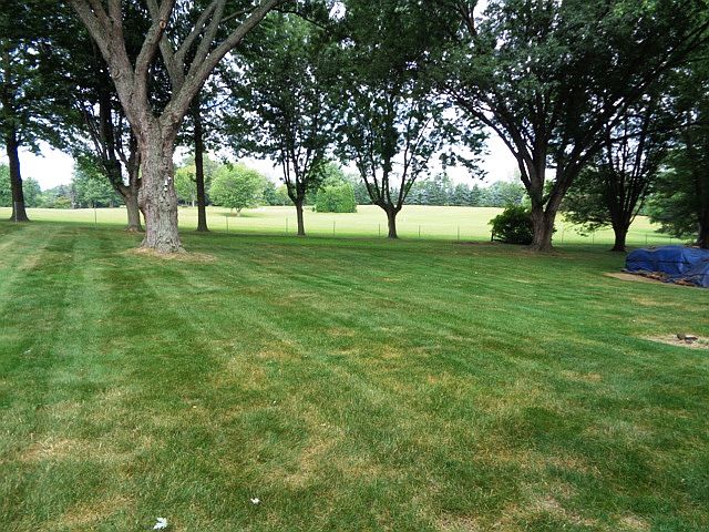 View from house to backyard