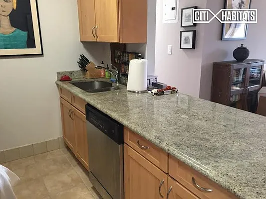 Rented by Citi Habitats | media 8