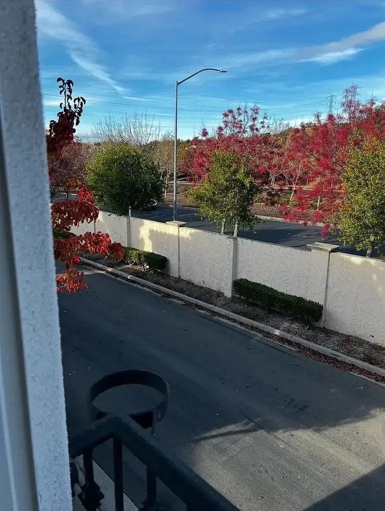 Magnolia Bridge Dr, San Ramon — Photo 3
