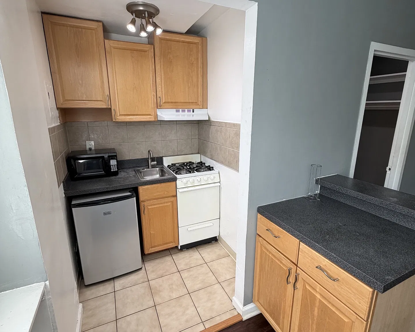 Studio, 378 sqft, $1,500 — Photo 4