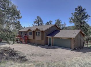 148 Camprobber Ct, Bailey, CO 80421