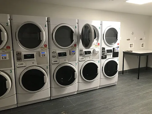 Rented by Manhattan Management LLC | media 25