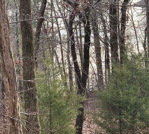 3rd image of 24 Caribe Ln
