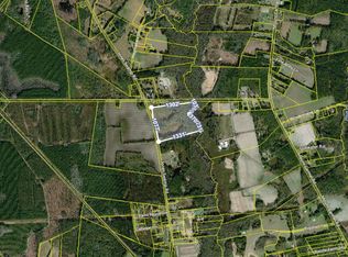 0 Jones Swamp Rd, Walterboro, SC 29488
