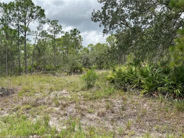 650 Chesley St, Lake Placid, FL 33852