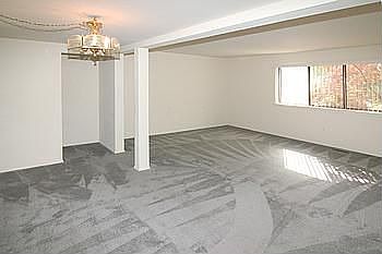 Dining and Living Room Combo