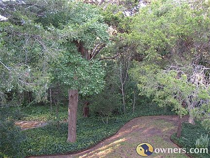 view of green belt from back of house