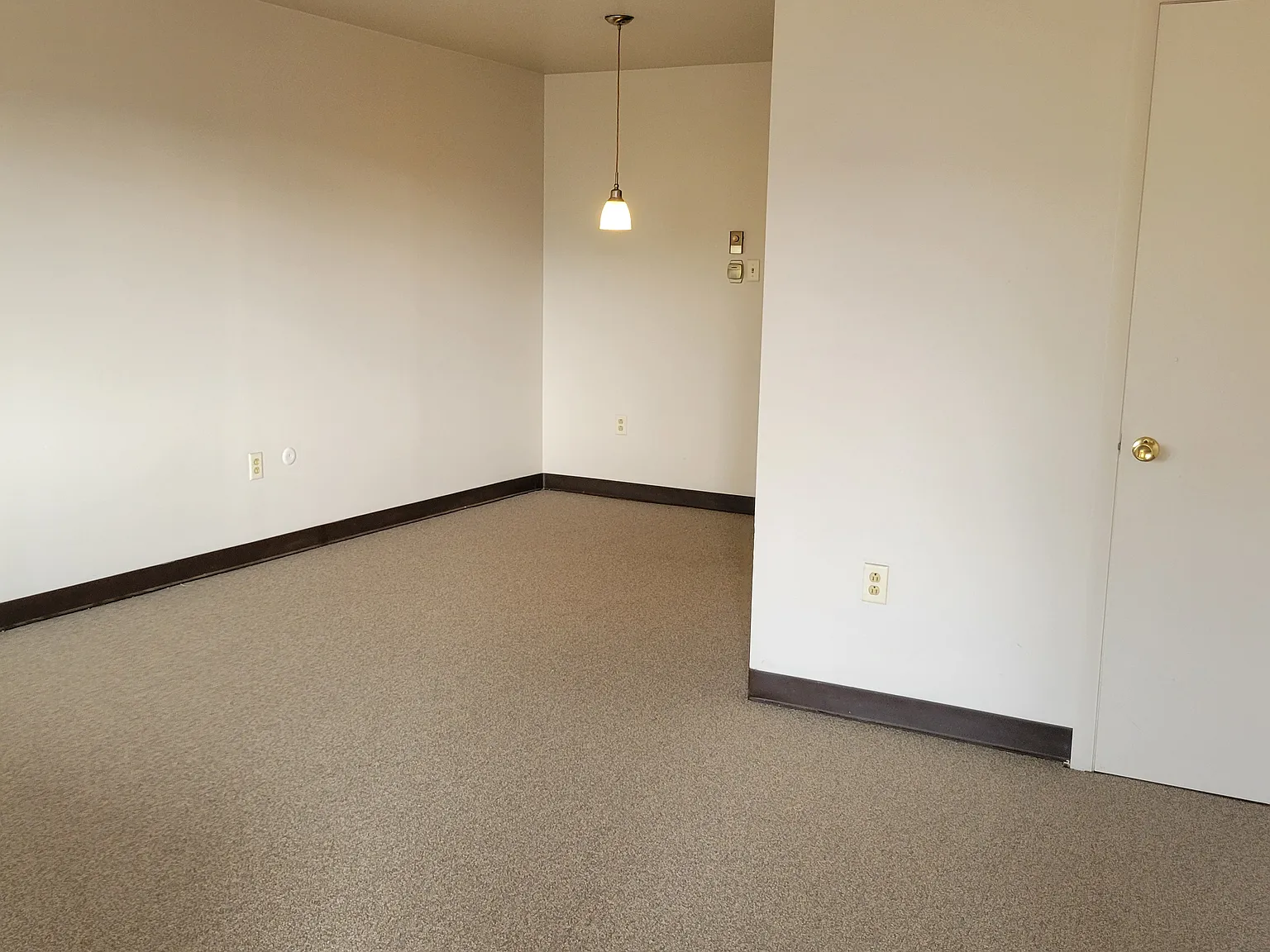1 bed, $910 — Photo 1